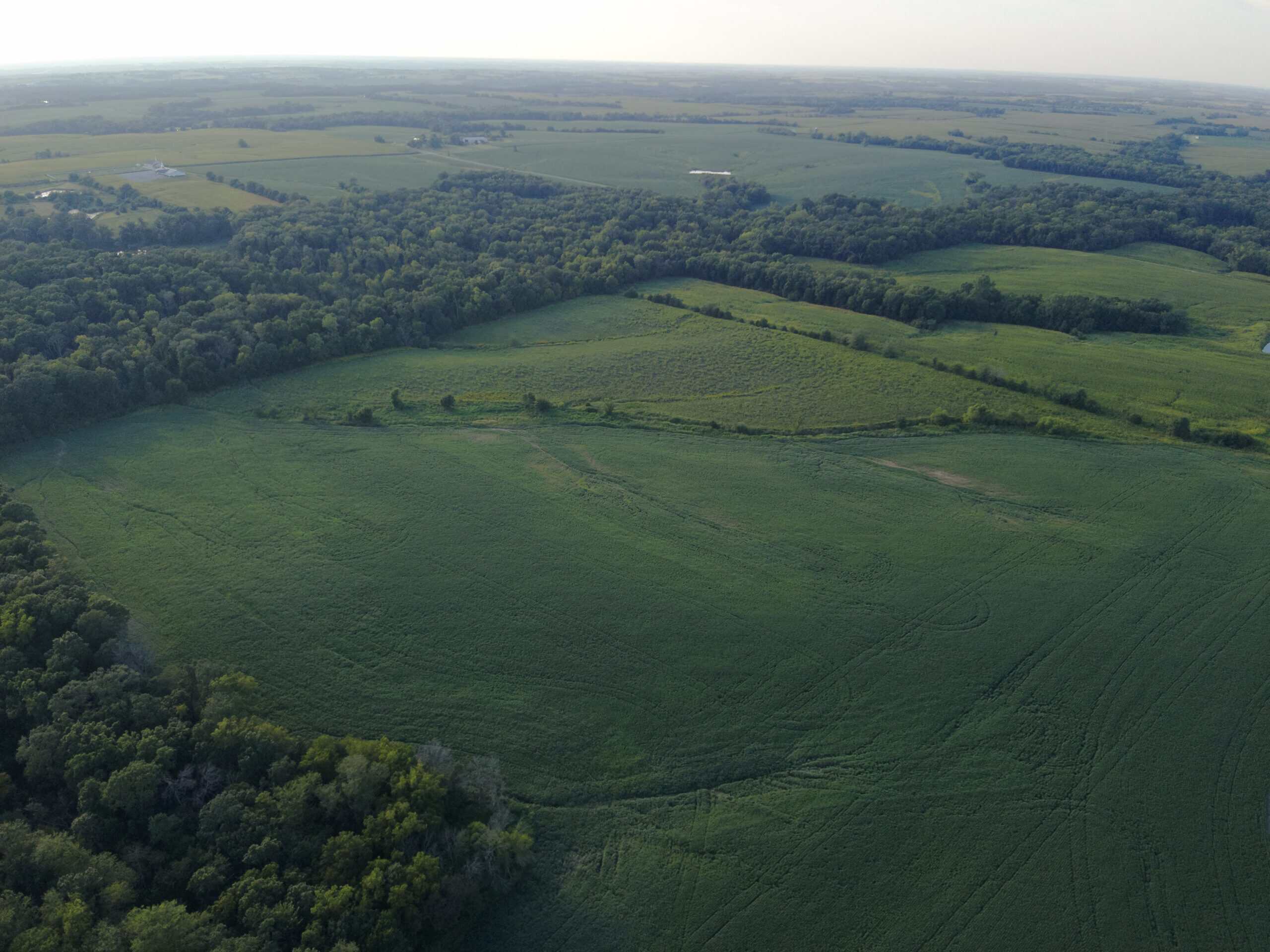 41 Acres m/l with CRP & Hunting