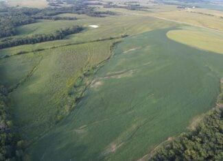 41 Acres m/l with CRP & Hunting