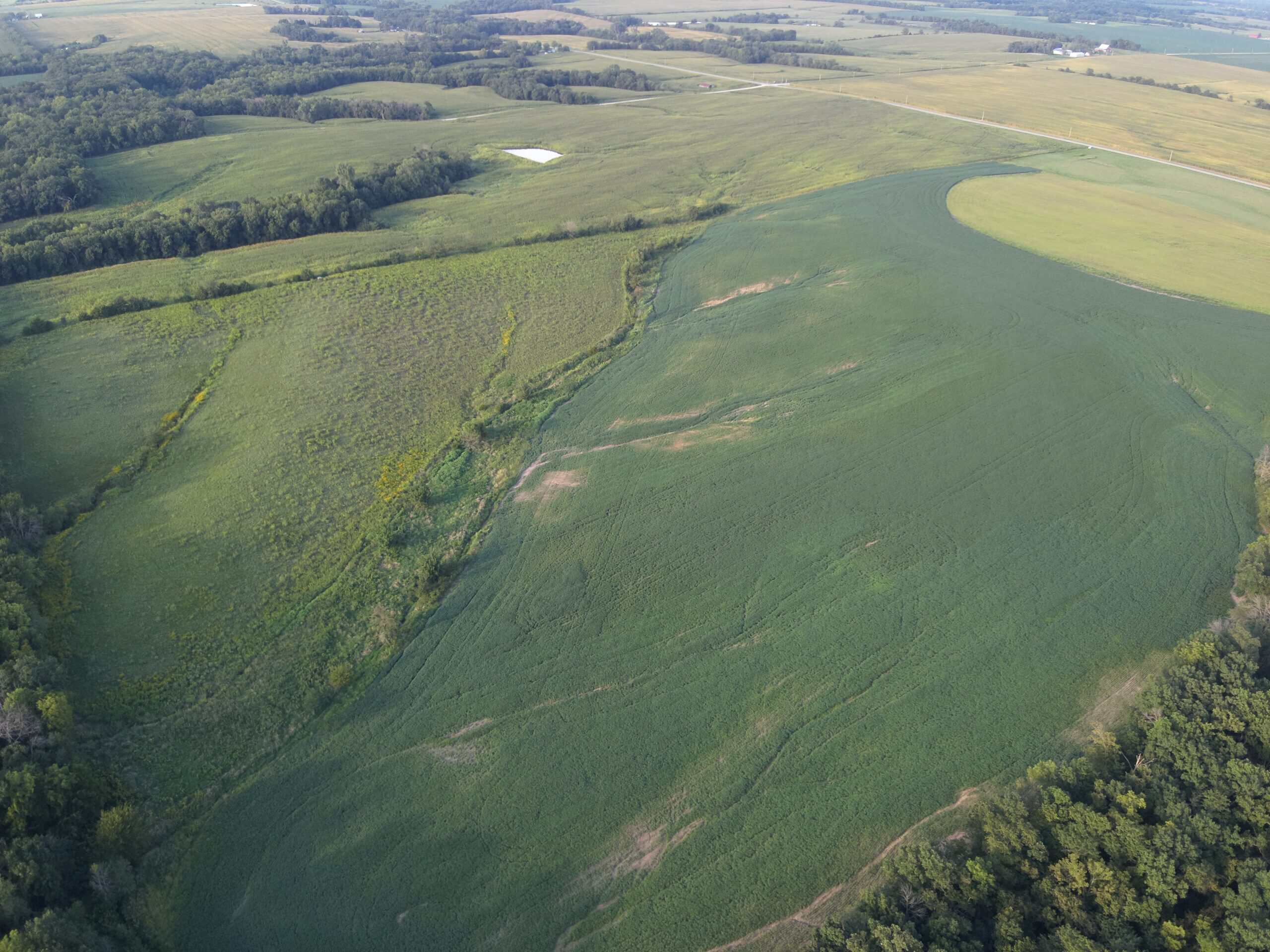 41 Acres m/l with CRP & Hunting