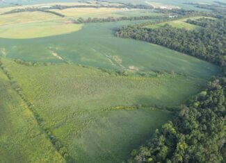 41 Acres m/l with CRP & Hunting