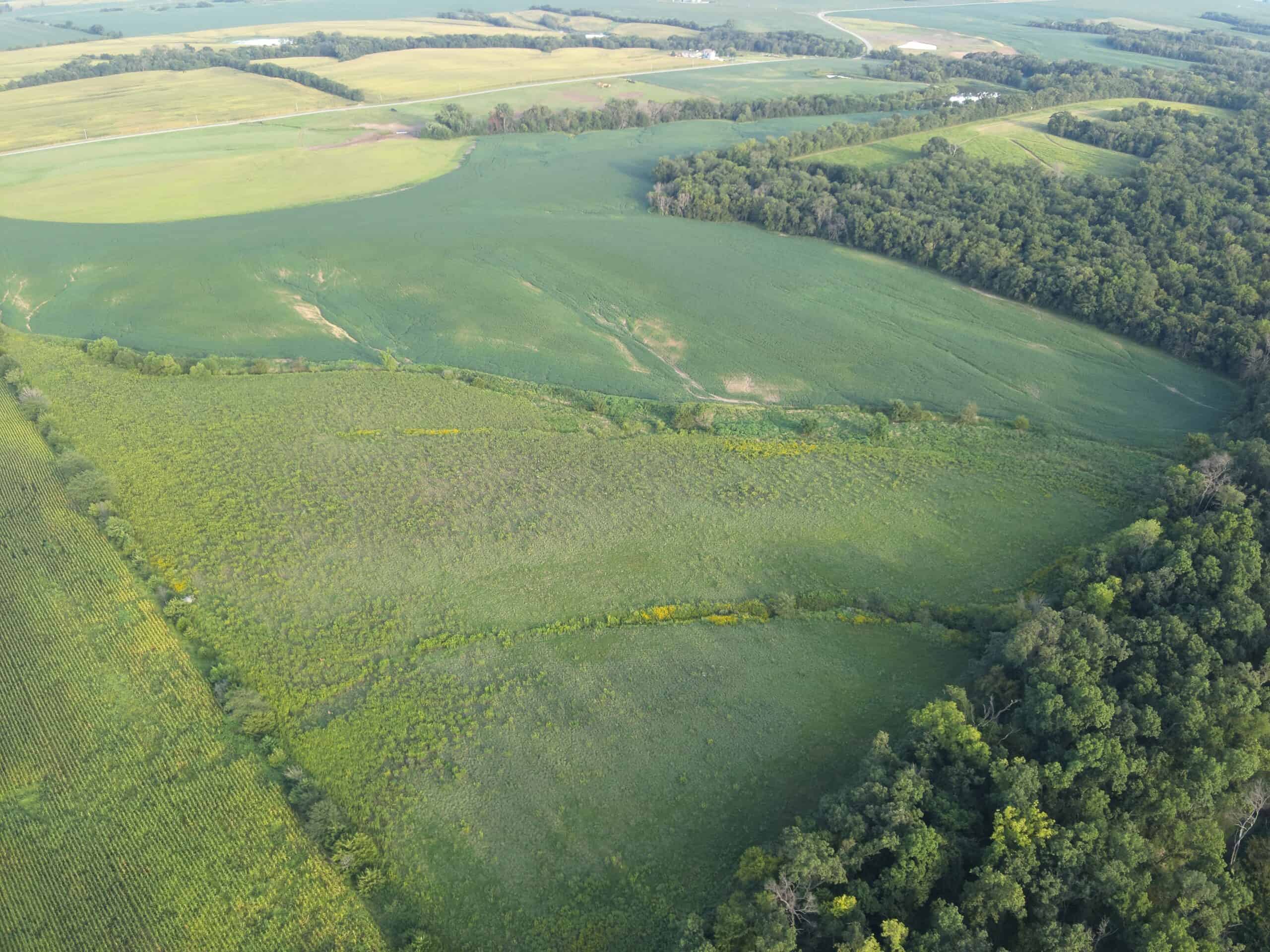 41 Acres m/l with CRP & Hunting
