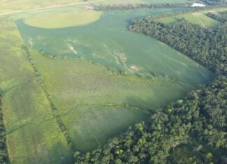 41 Acres m/l with CRP & Hunting