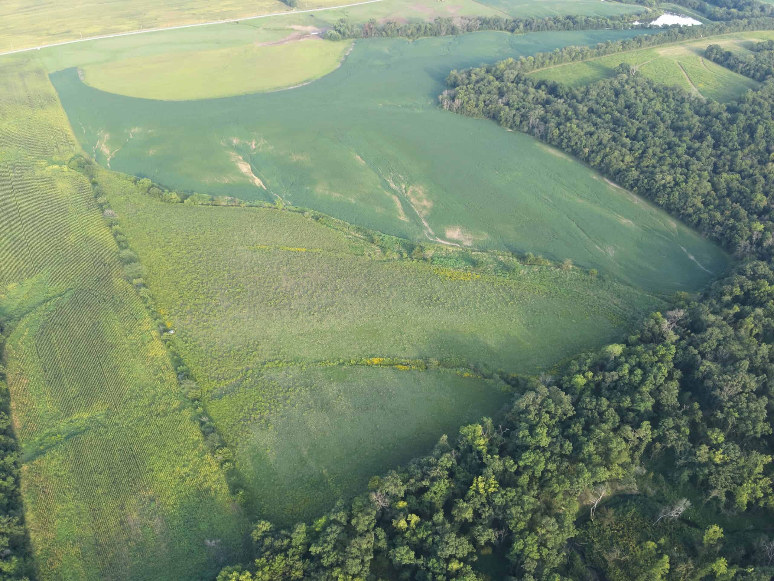 41 Acres m/l with CRP & Hunting