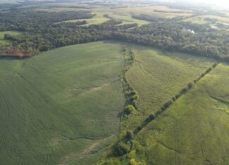 41 Acres m/l with CRP & Hunting