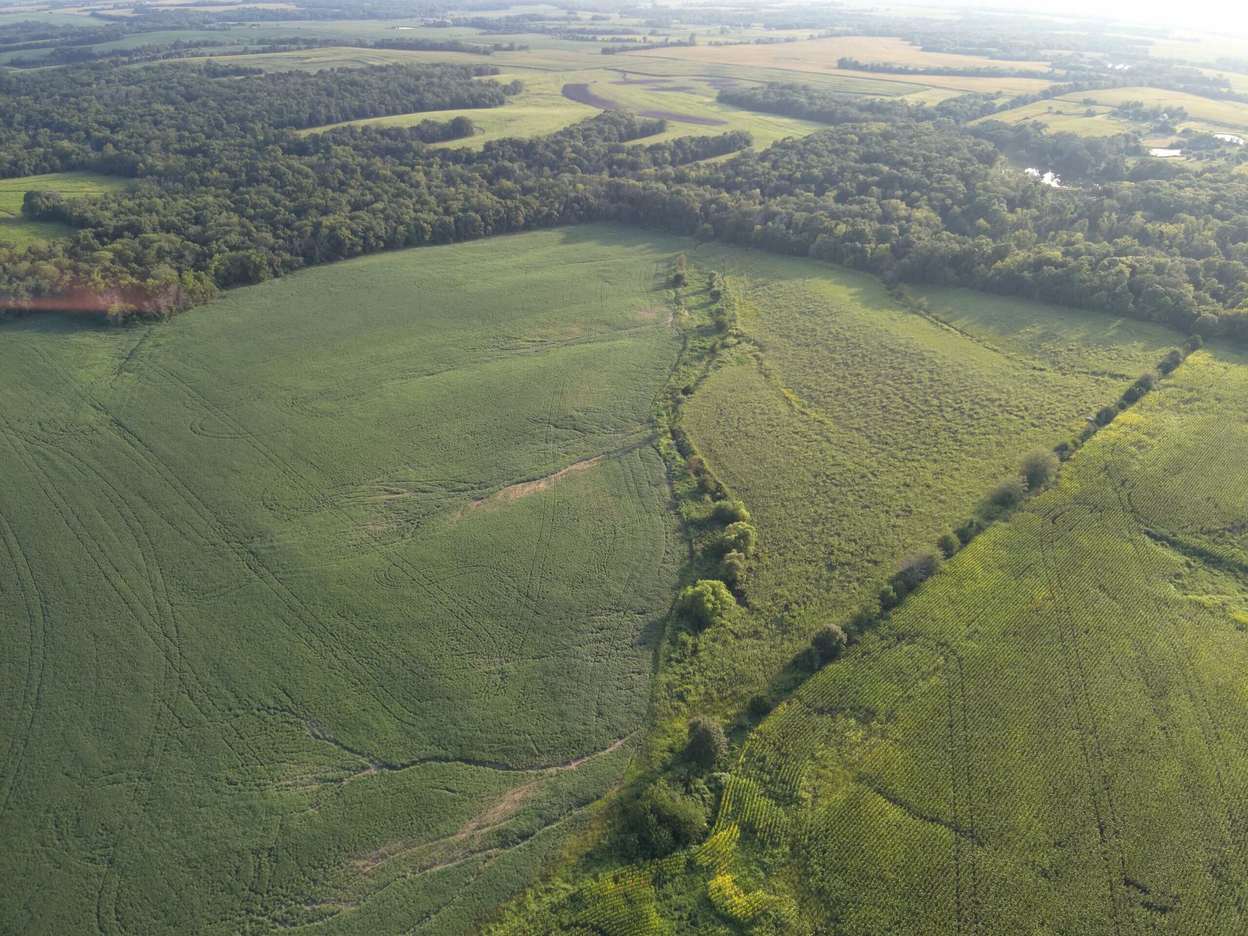 41 Acres m/l with CRP & Hunting