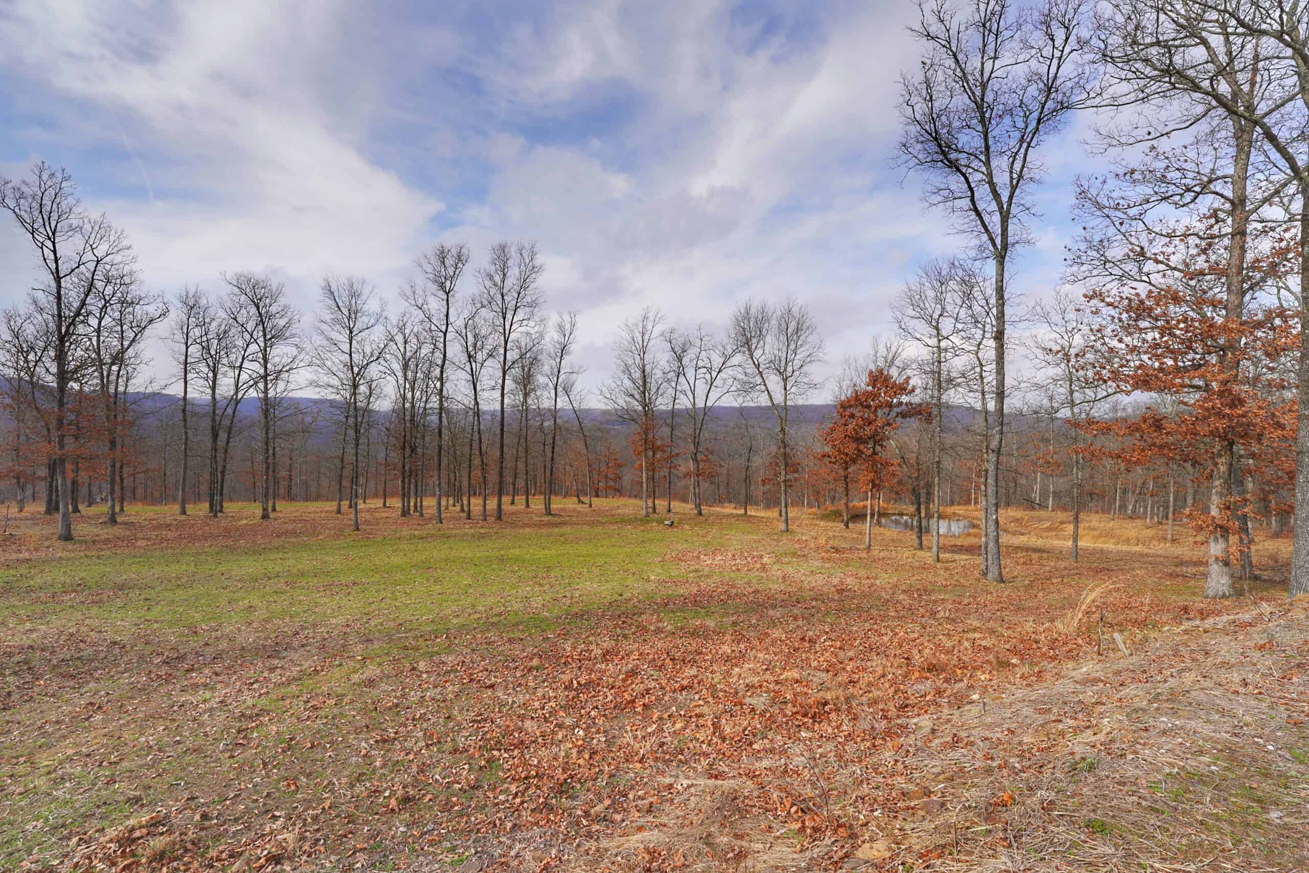 120+/- Acres Recreational Property For Sale in NWA