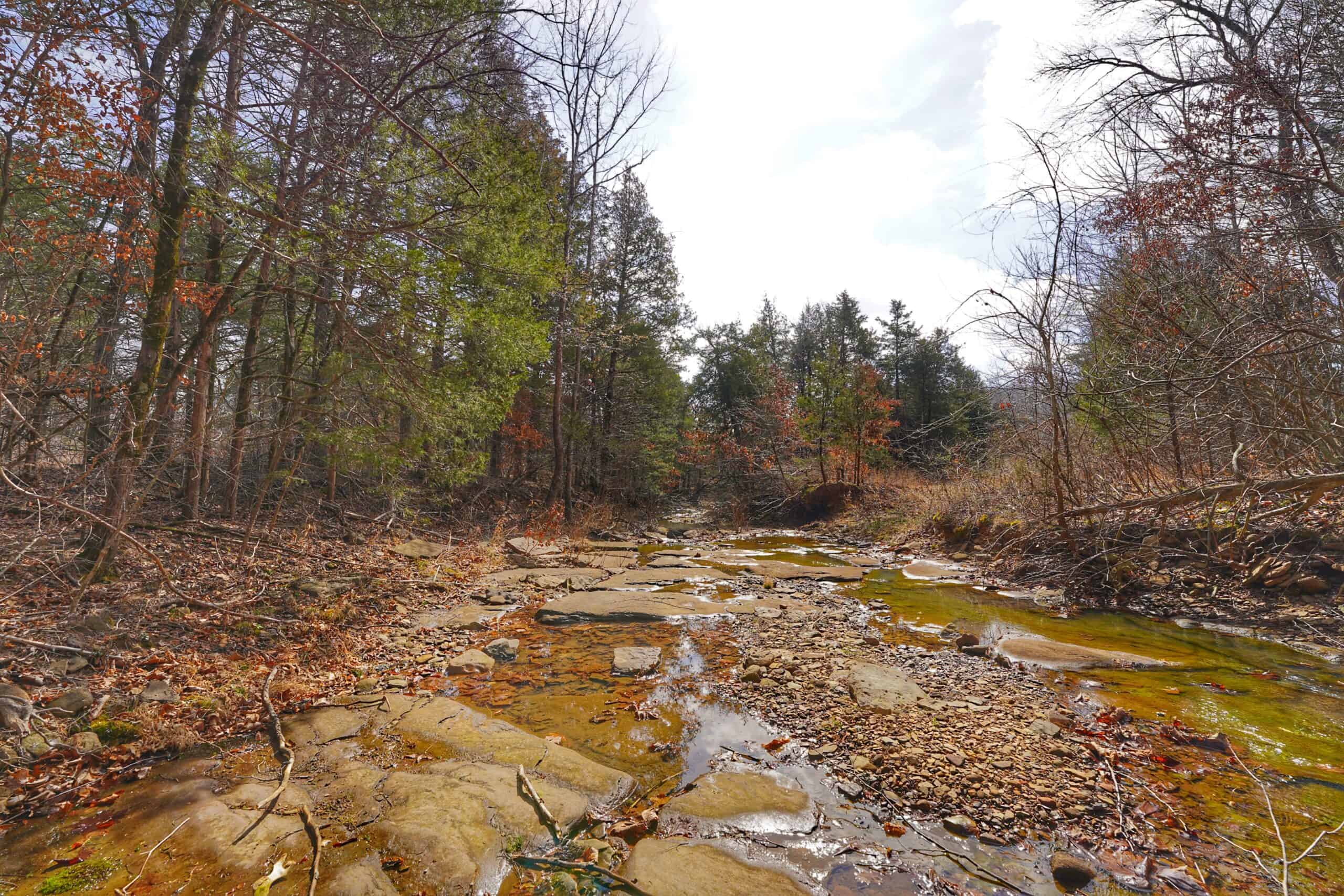120+/- Acres Recreational Property For Sale in NWA