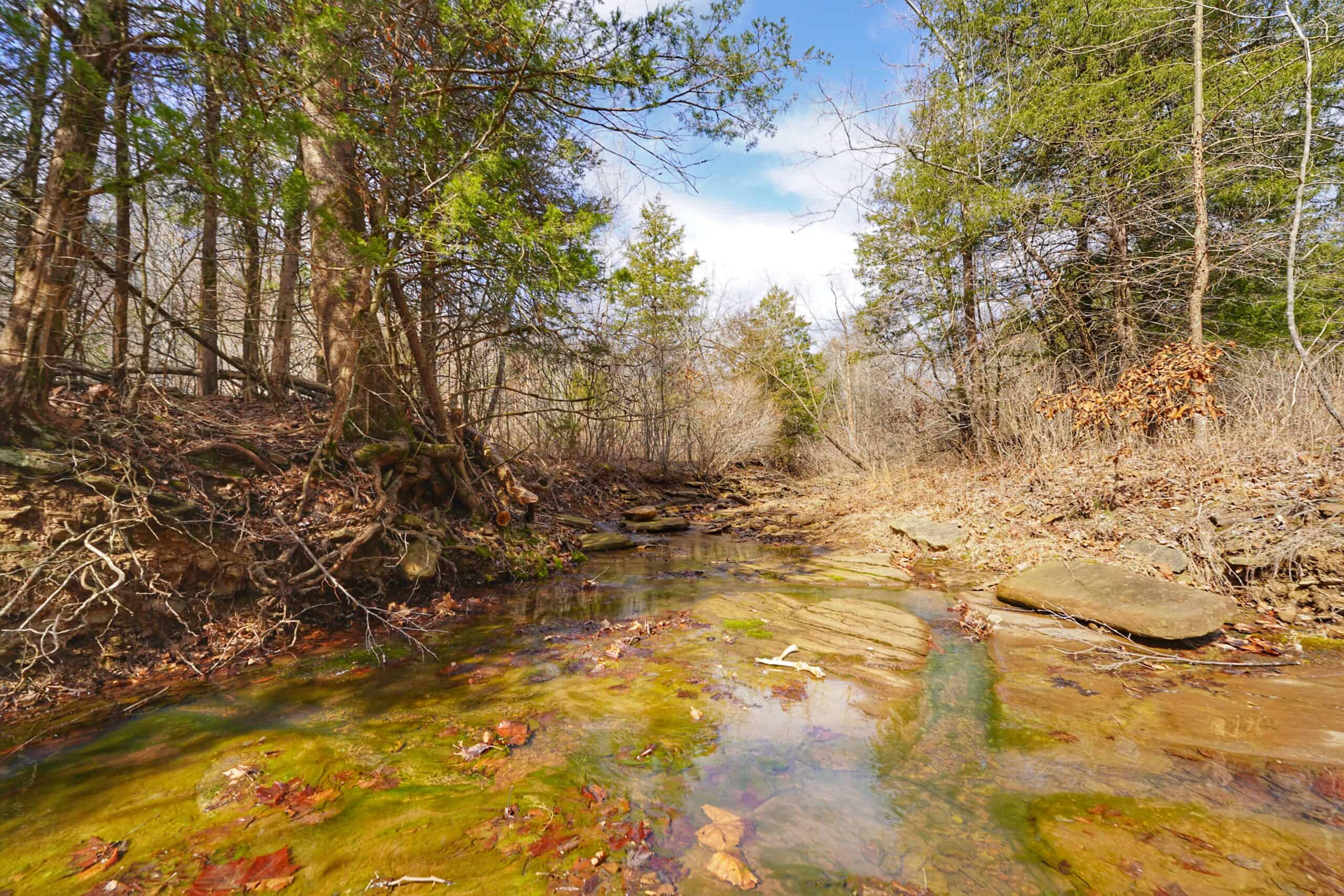 120+/- Acres Recreational Property For Sale in NWA
