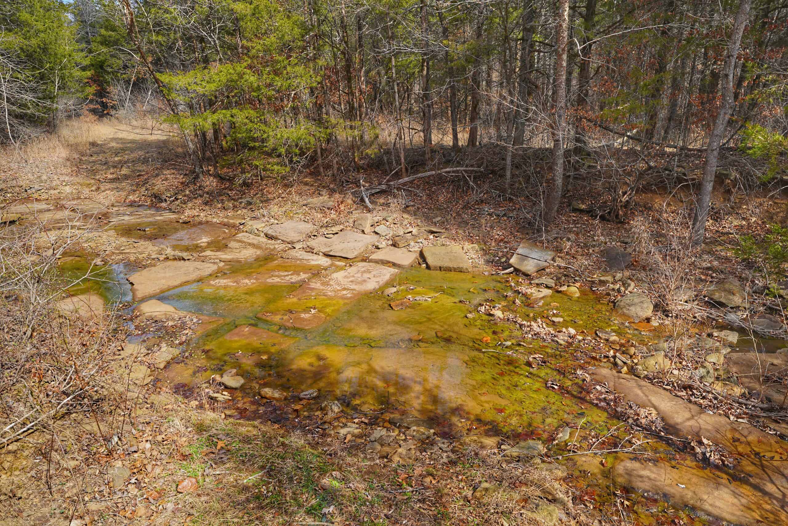 120+/- Acres Recreational Property For Sale in NWA