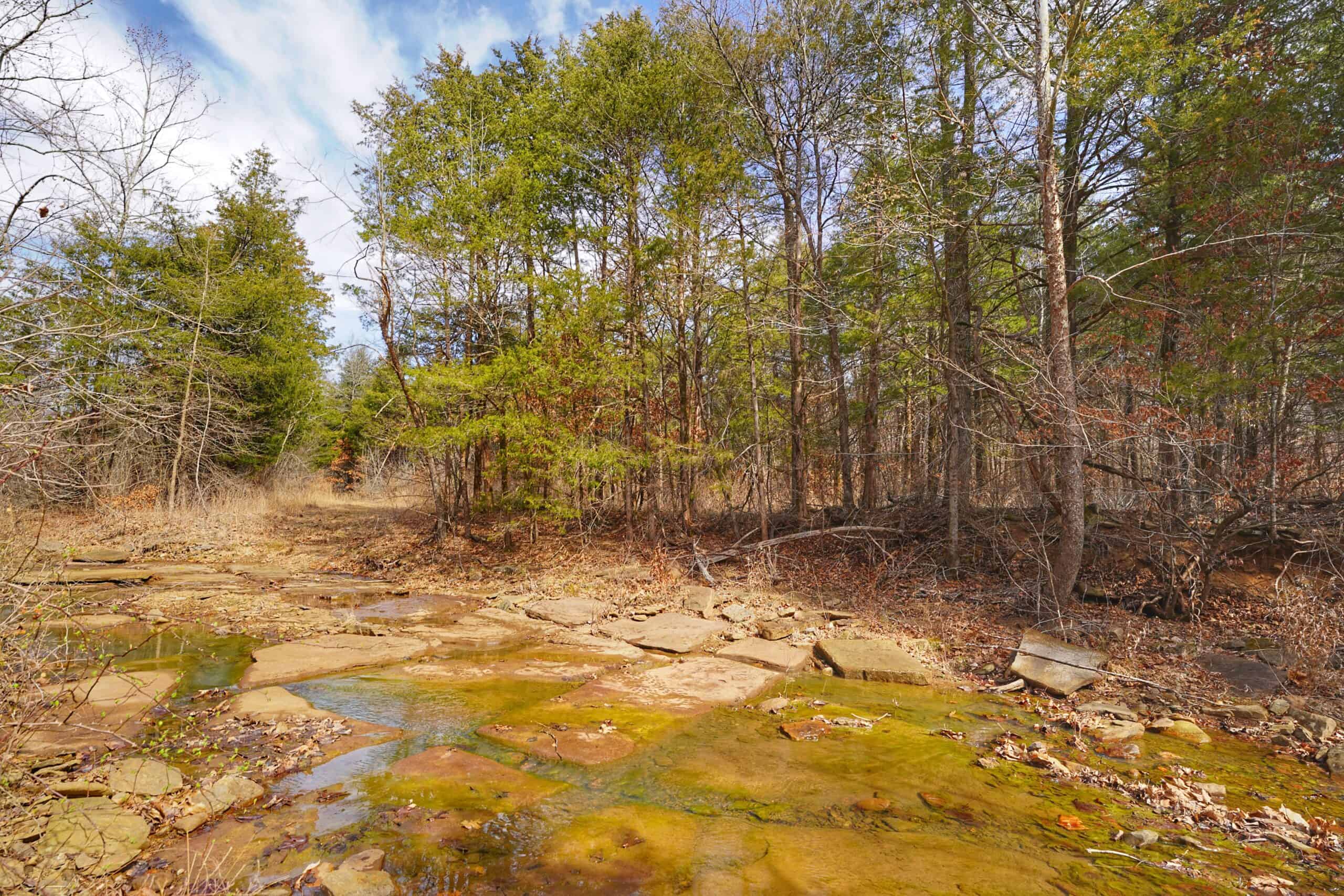 120+/- Acres Recreational Property For Sale in NWA