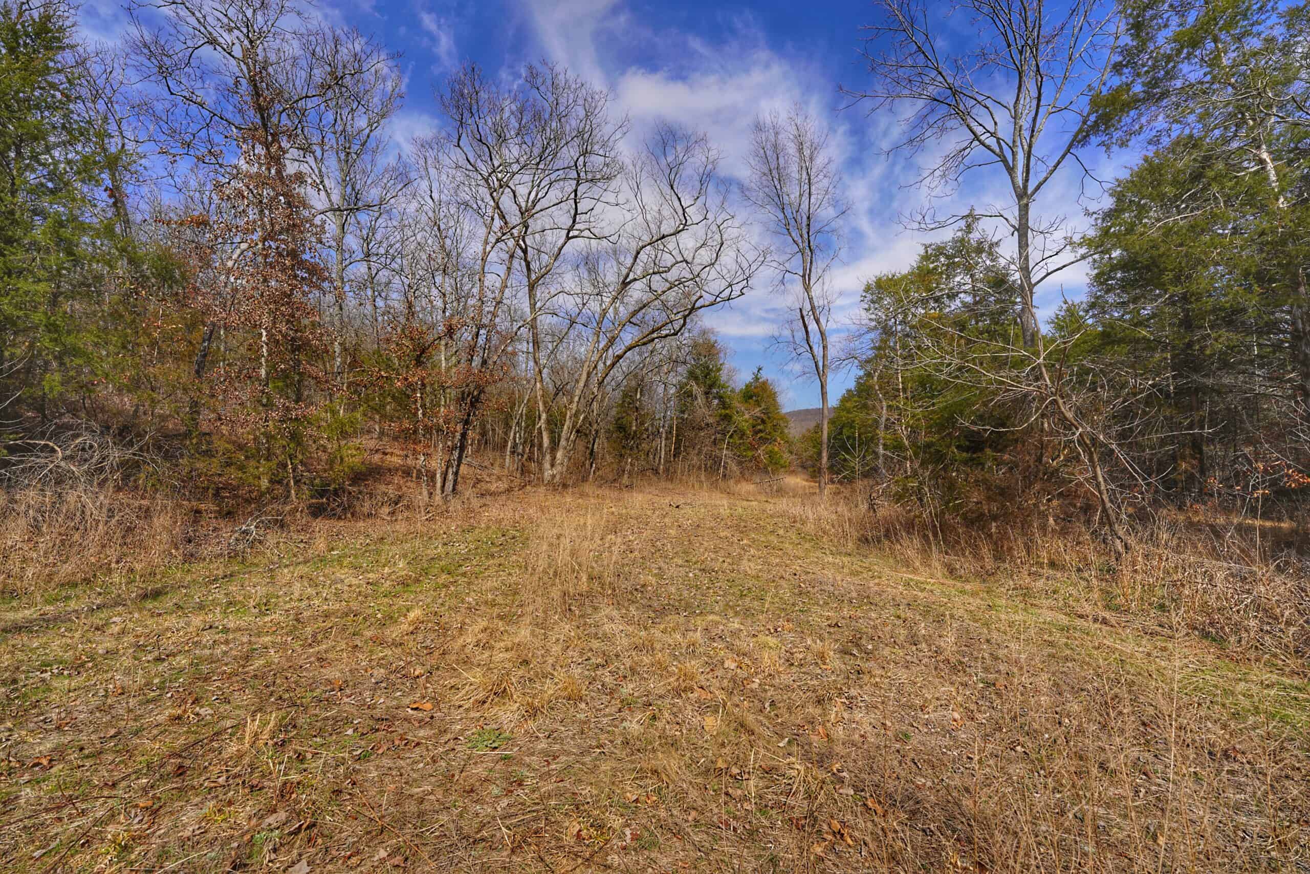 120+/- Acres Recreational Property For Sale in NWA