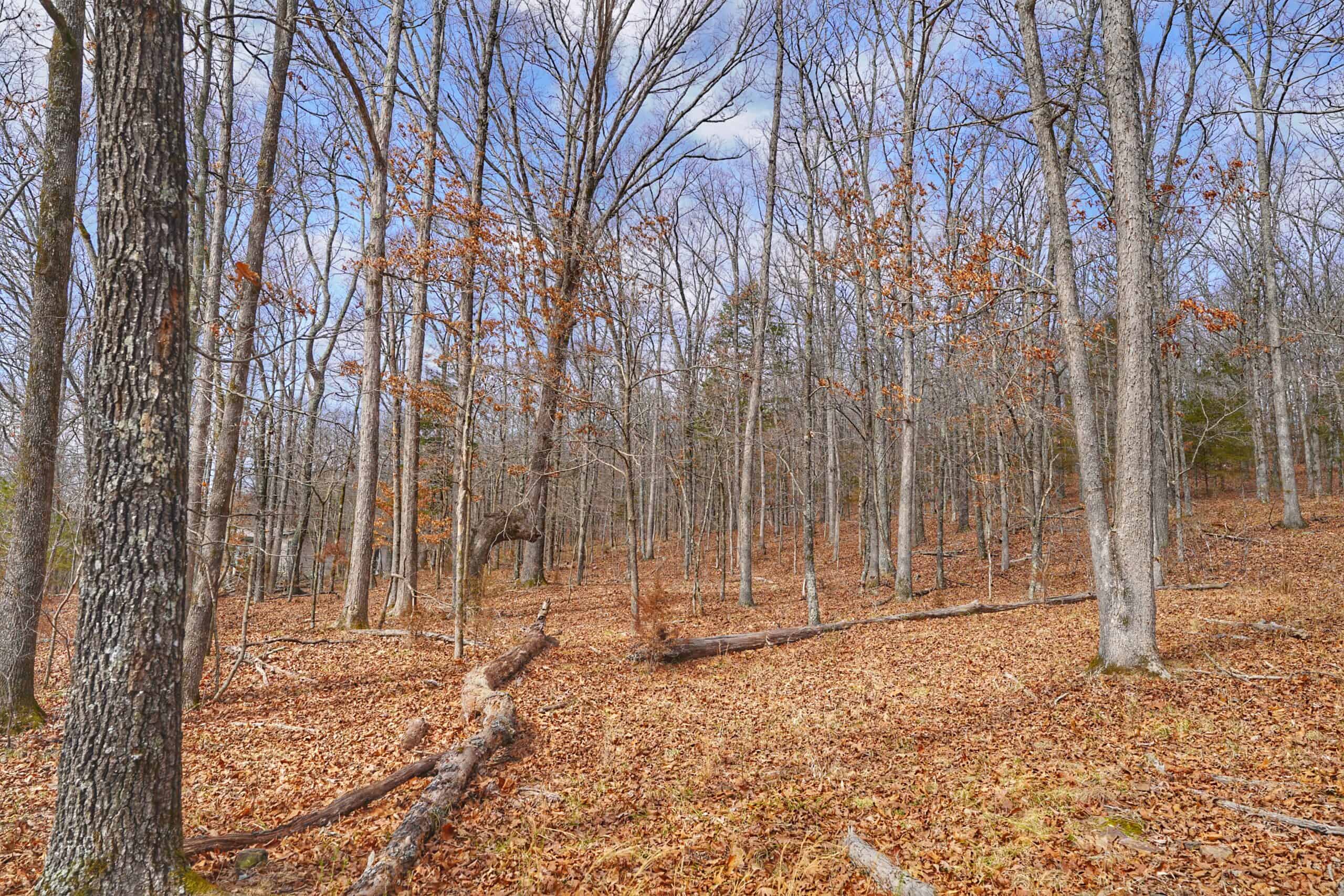 120+/- Acres Recreational Property For Sale in NWA