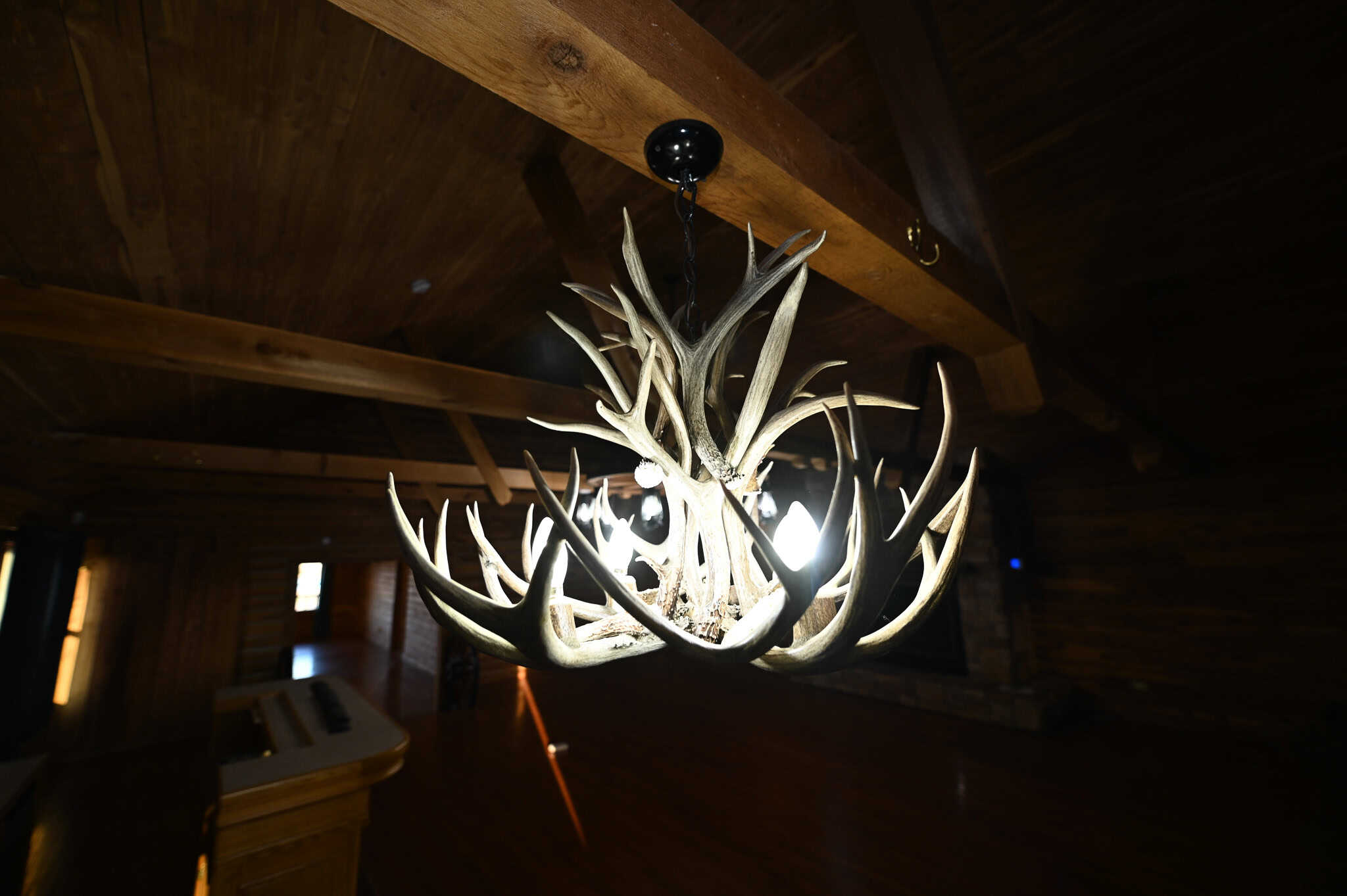 Hunting Property for Sale in Vernon