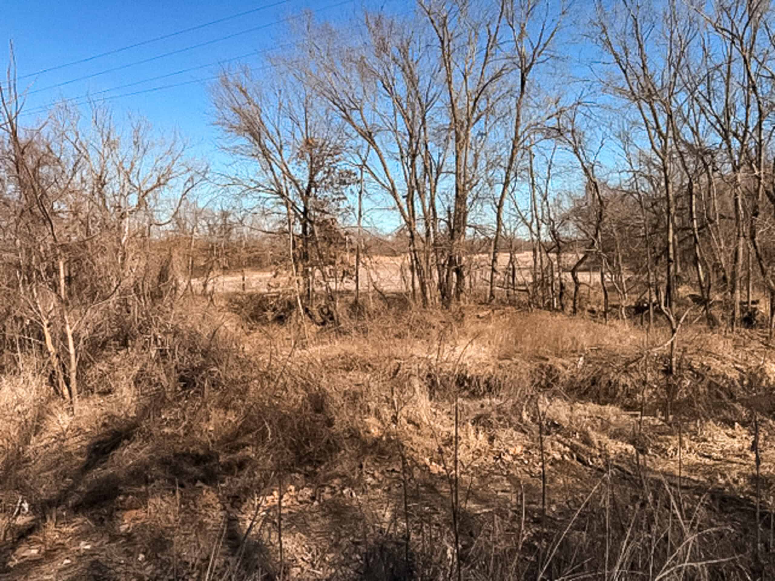 19± Acres of Land for Sale in Daviess County, Missouri