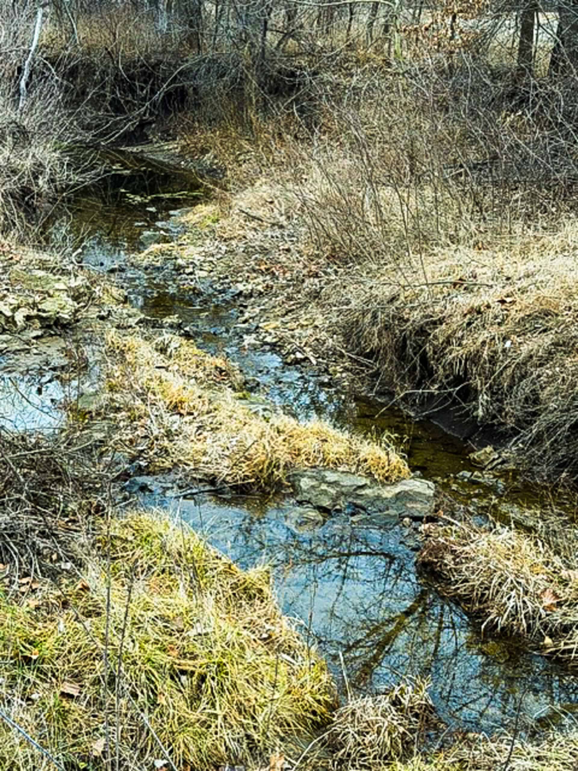 19± Acres of Land for Sale in Daviess County, Missouri