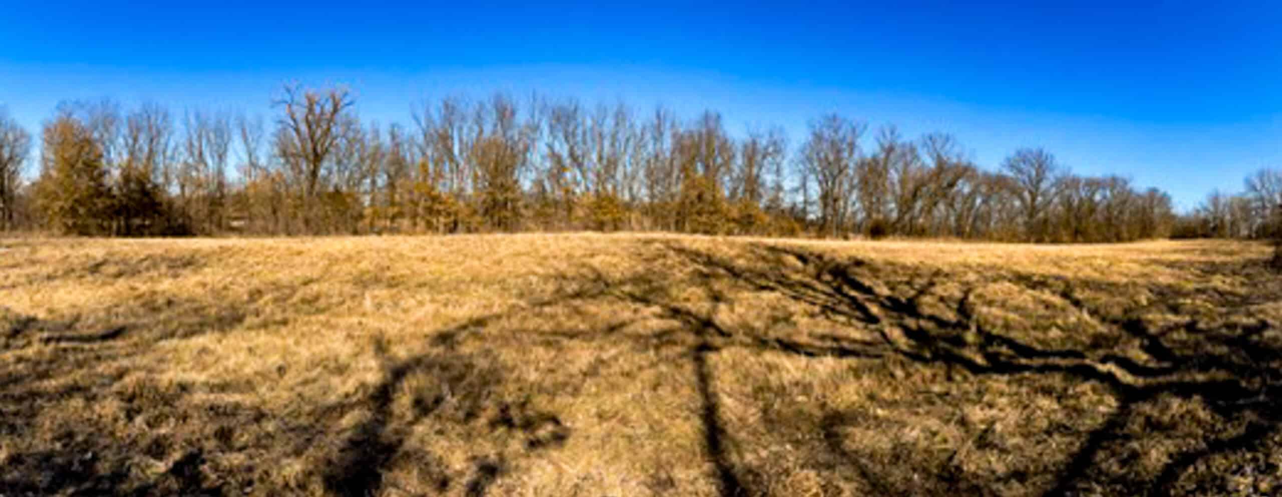 19± Acres of Land for Sale in Daviess County, Missouri
