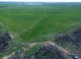 160 AC RANCH FOR SALE – ARCHER COUNTY TX