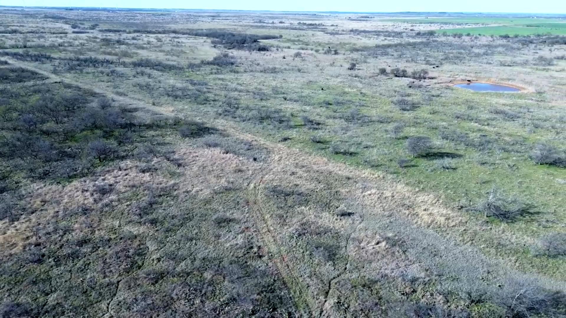 160 AC RANCH FOR SALE – ARCHER COUNTY TX