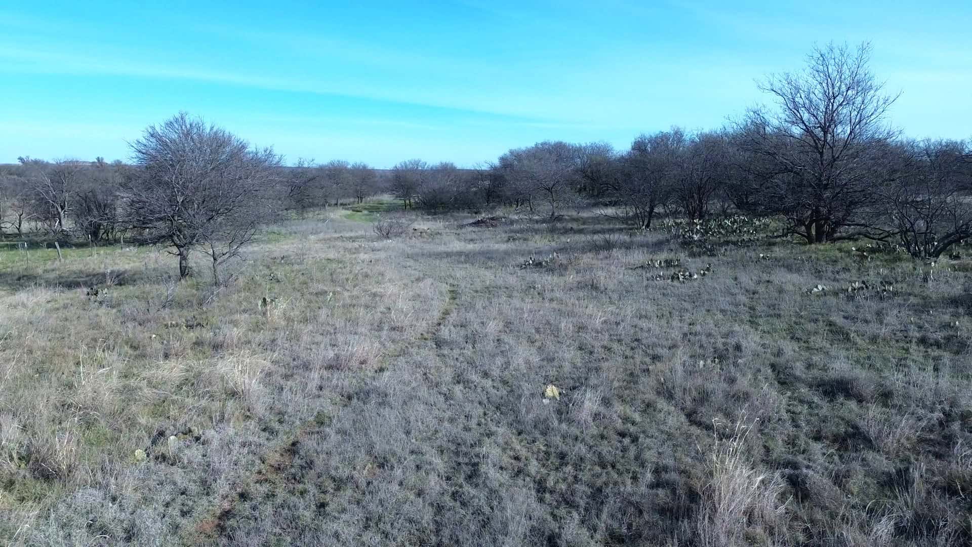 160 AC RANCH FOR SALE – ARCHER COUNTY TX