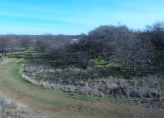 160 AC RANCH FOR SALE – ARCHER COUNTY TX
