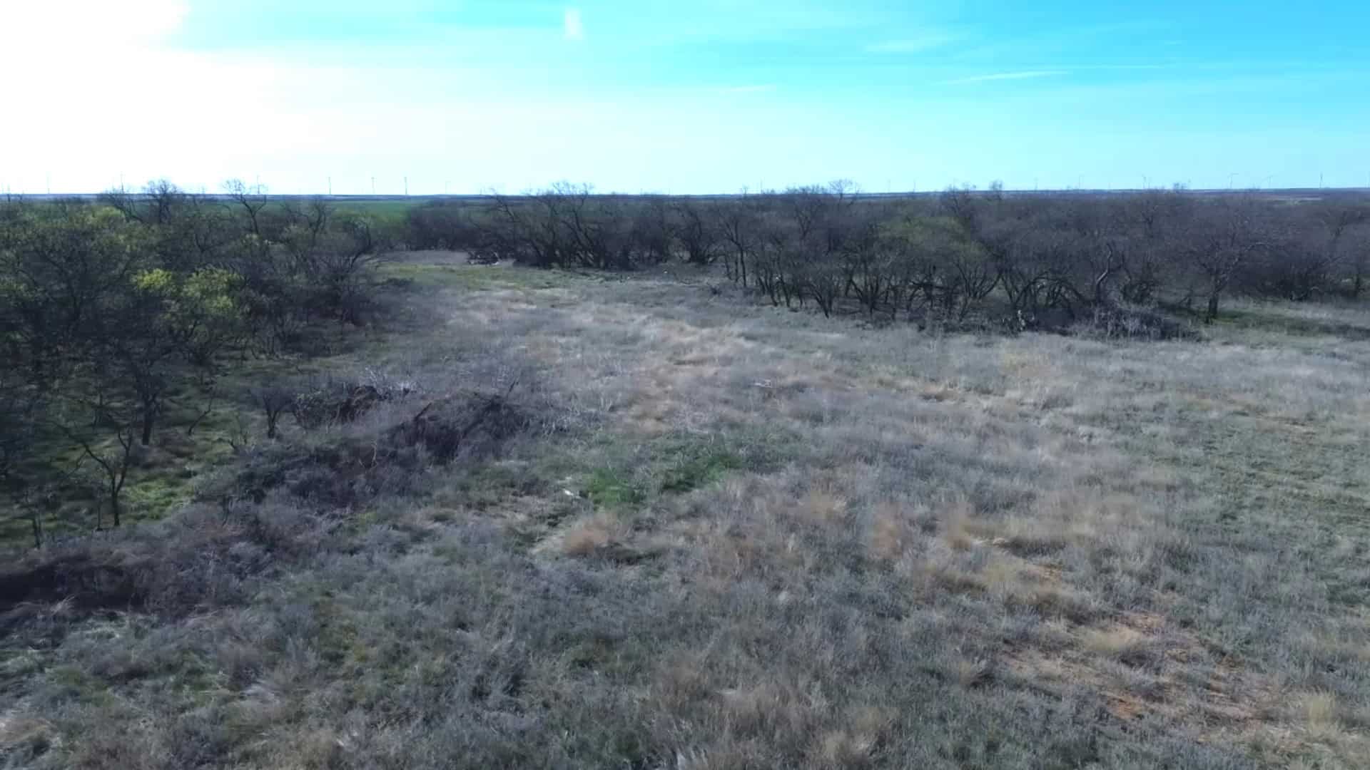 160 AC RANCH FOR SALE – ARCHER COUNTY TX
