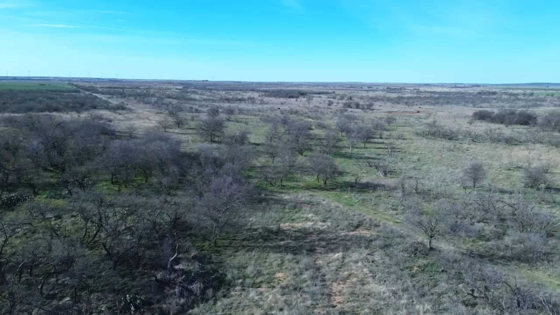 160 AC RANCH FOR SALE – ARCHER COUNTY TX
