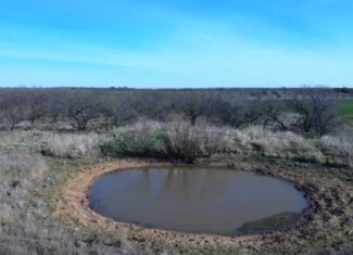 160 AC RANCH FOR SALE – ARCHER COUNTY TX
