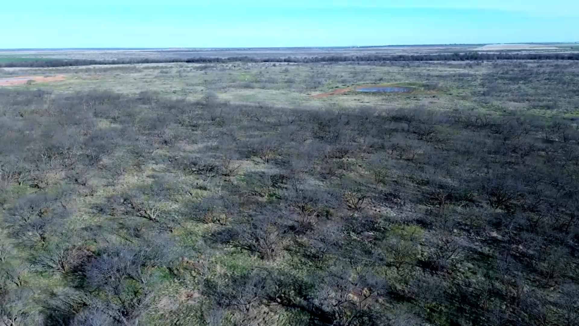 160 AC RANCH FOR SALE – ARCHER COUNTY TX