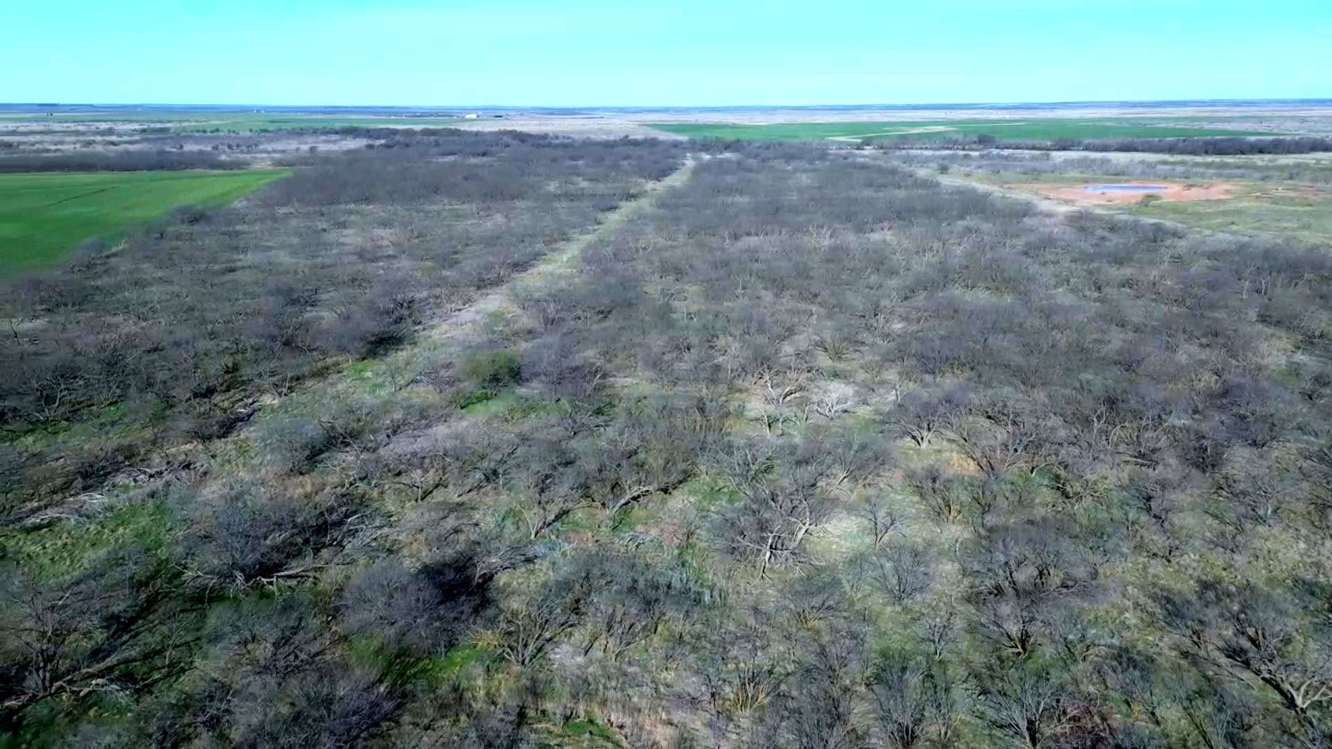 160 AC RANCH FOR SALE – ARCHER COUNTY TX