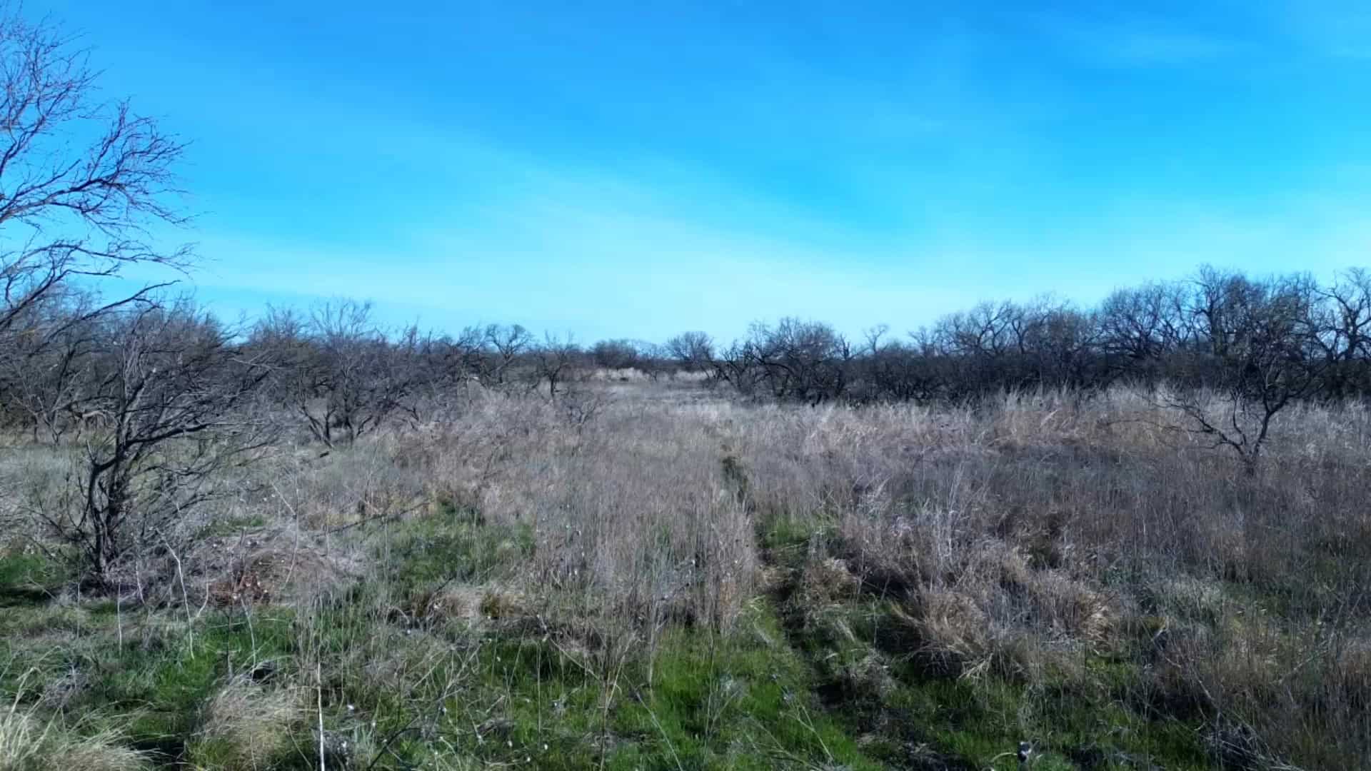 160 AC RANCH FOR SALE – ARCHER COUNTY TX