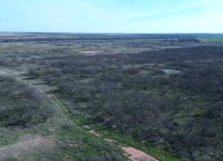 160 AC RANCH FOR SALE – ARCHER COUNTY TX