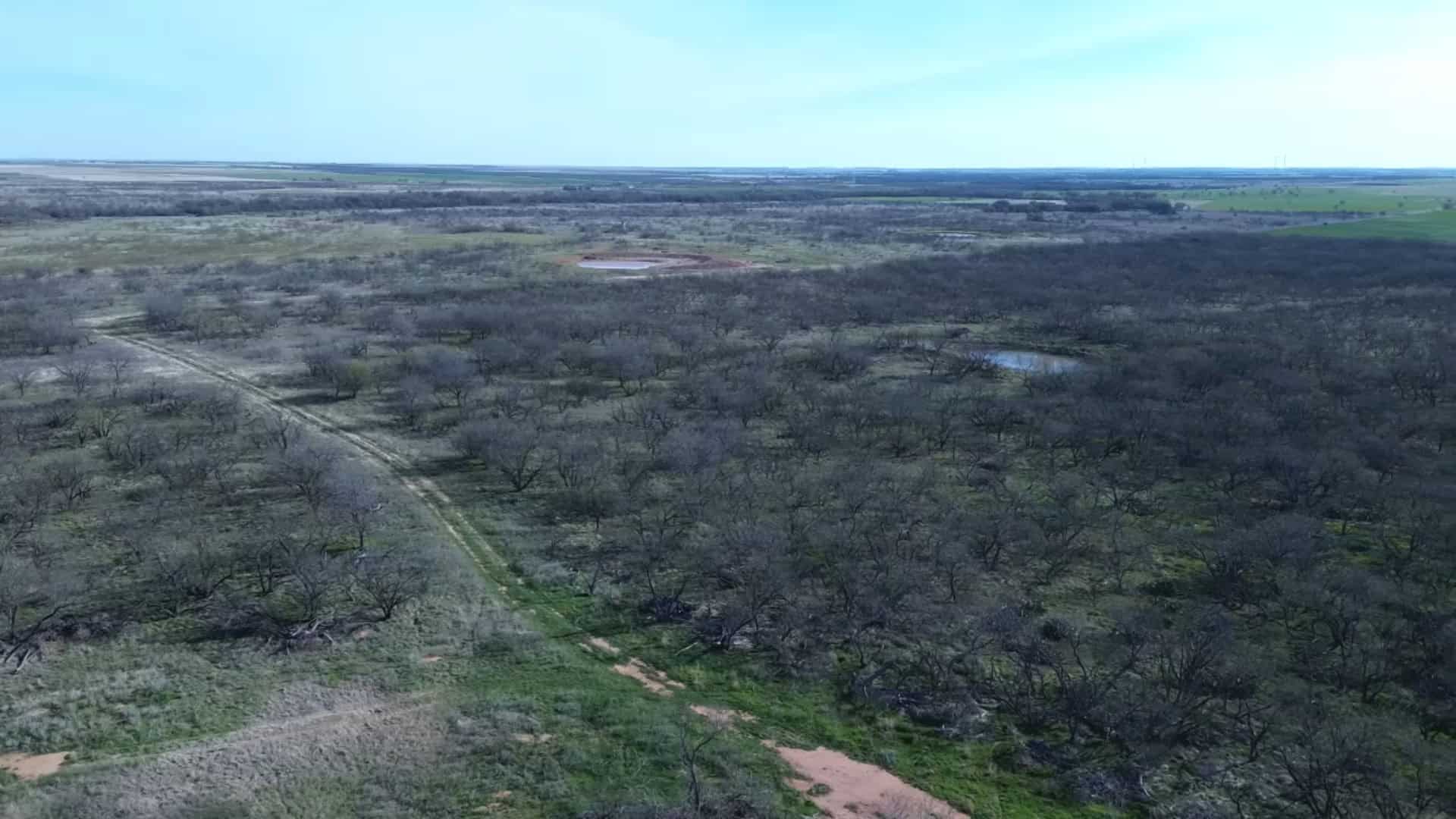 160 AC RANCH FOR SALE – ARCHER COUNTY TX