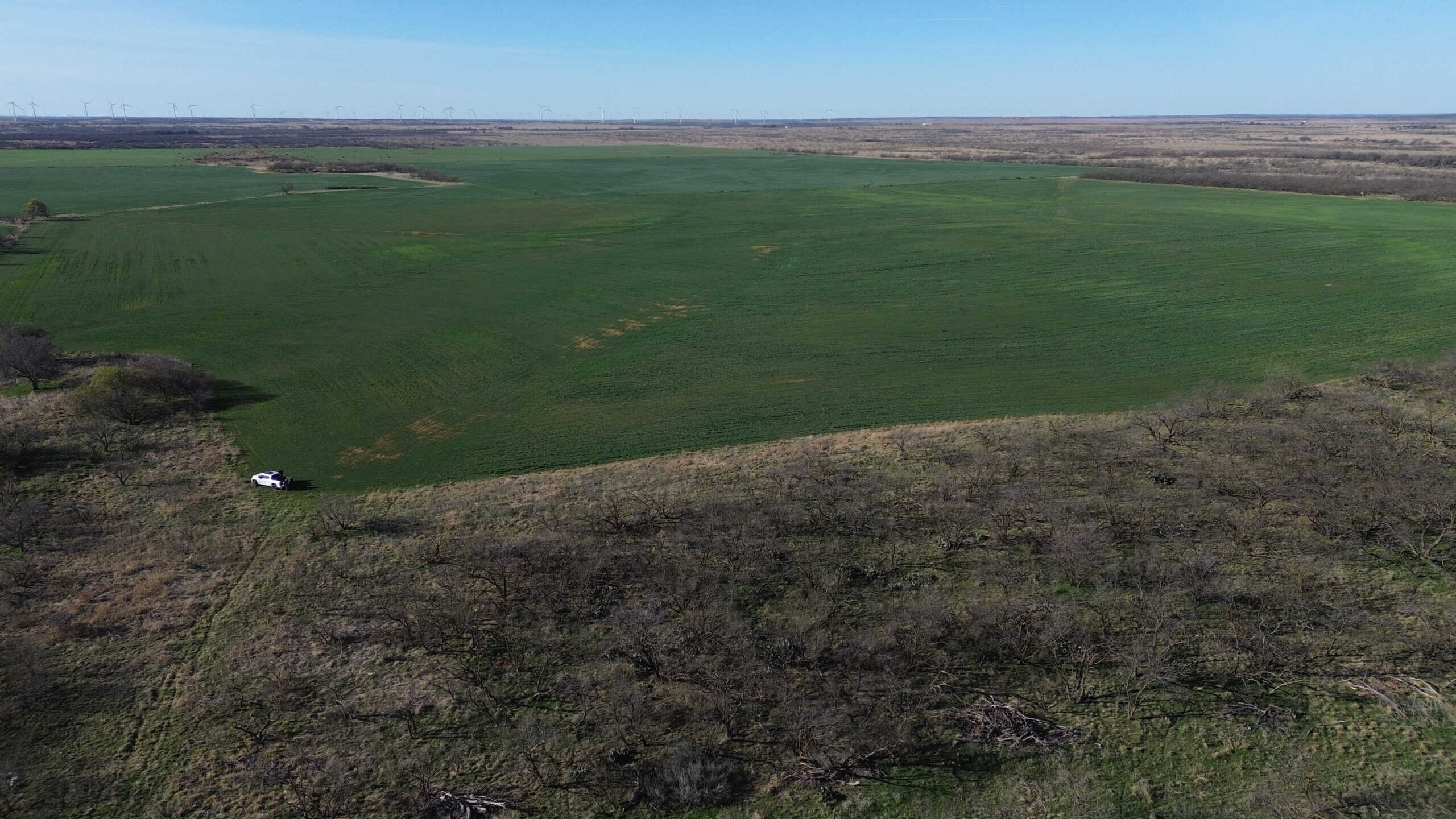 160 AC RANCH FOR SALE – ARCHER COUNTY TX