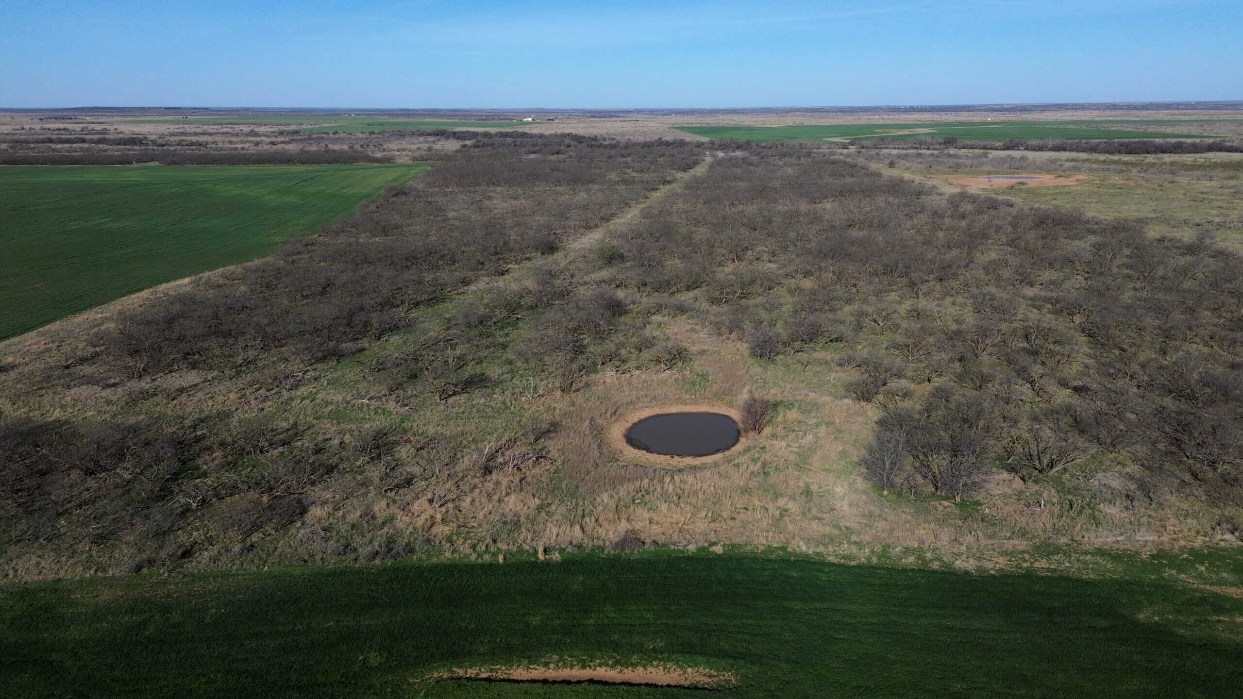 160 AC RANCH FOR SALE – ARCHER COUNTY TX