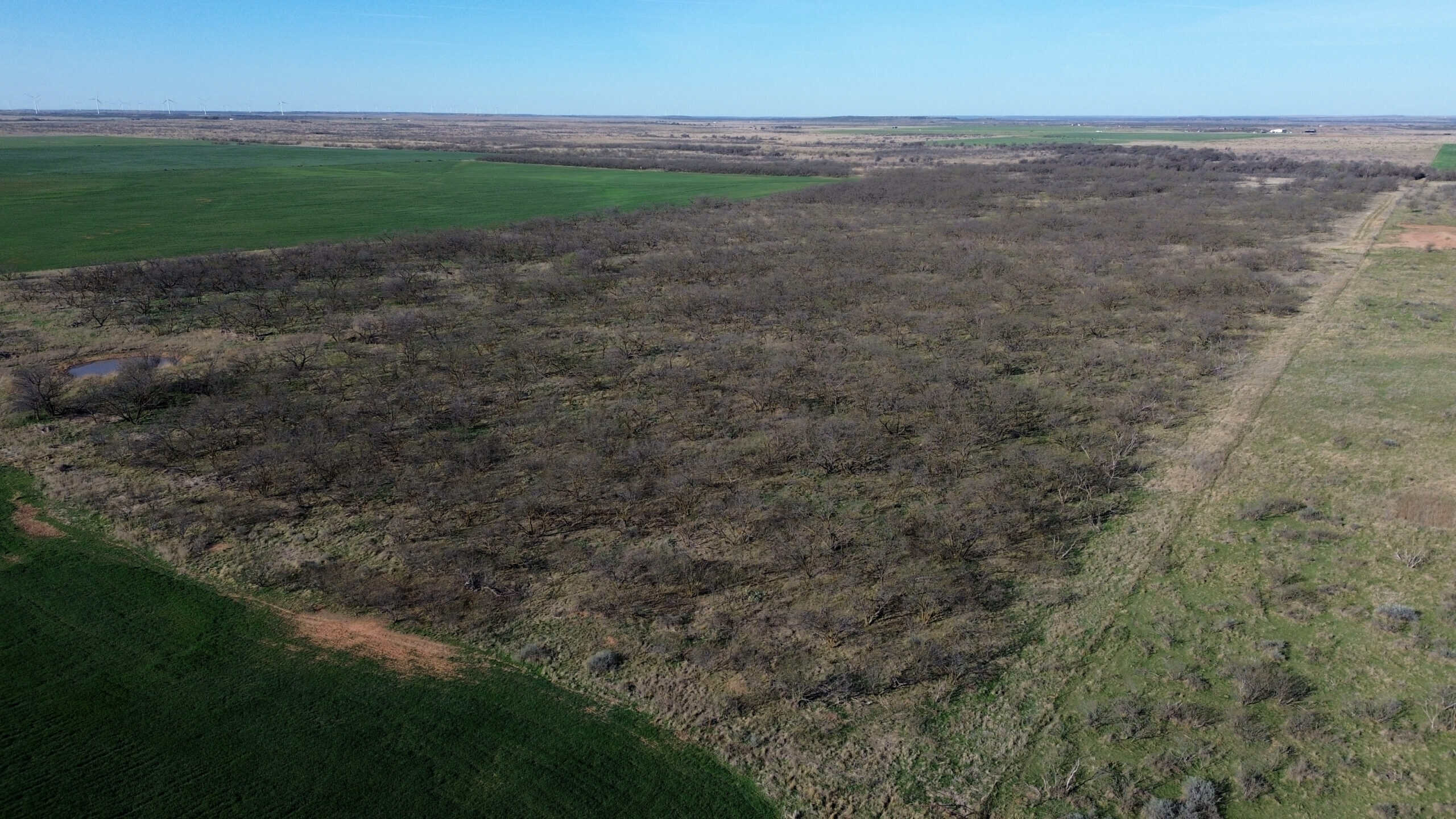 160 AC RANCH FOR SALE – ARCHER COUNTY TX