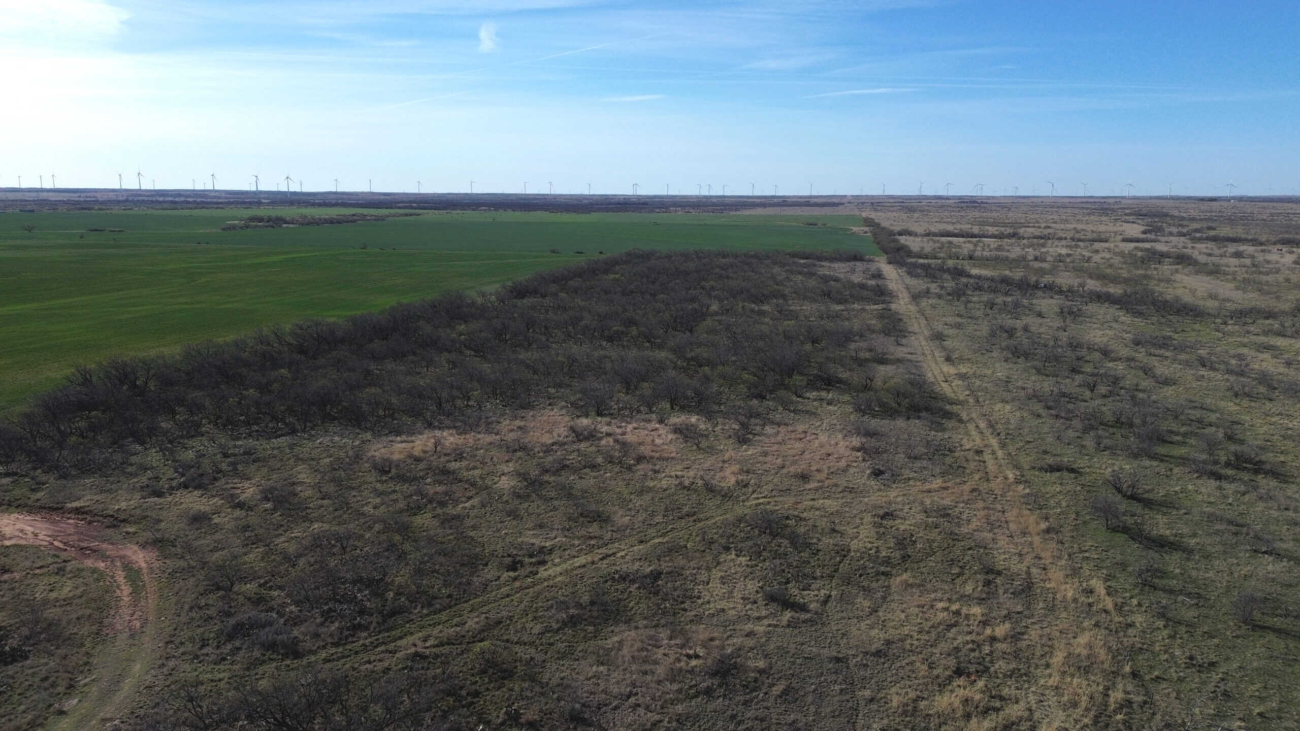 160 AC RANCH FOR SALE – ARCHER COUNTY TX