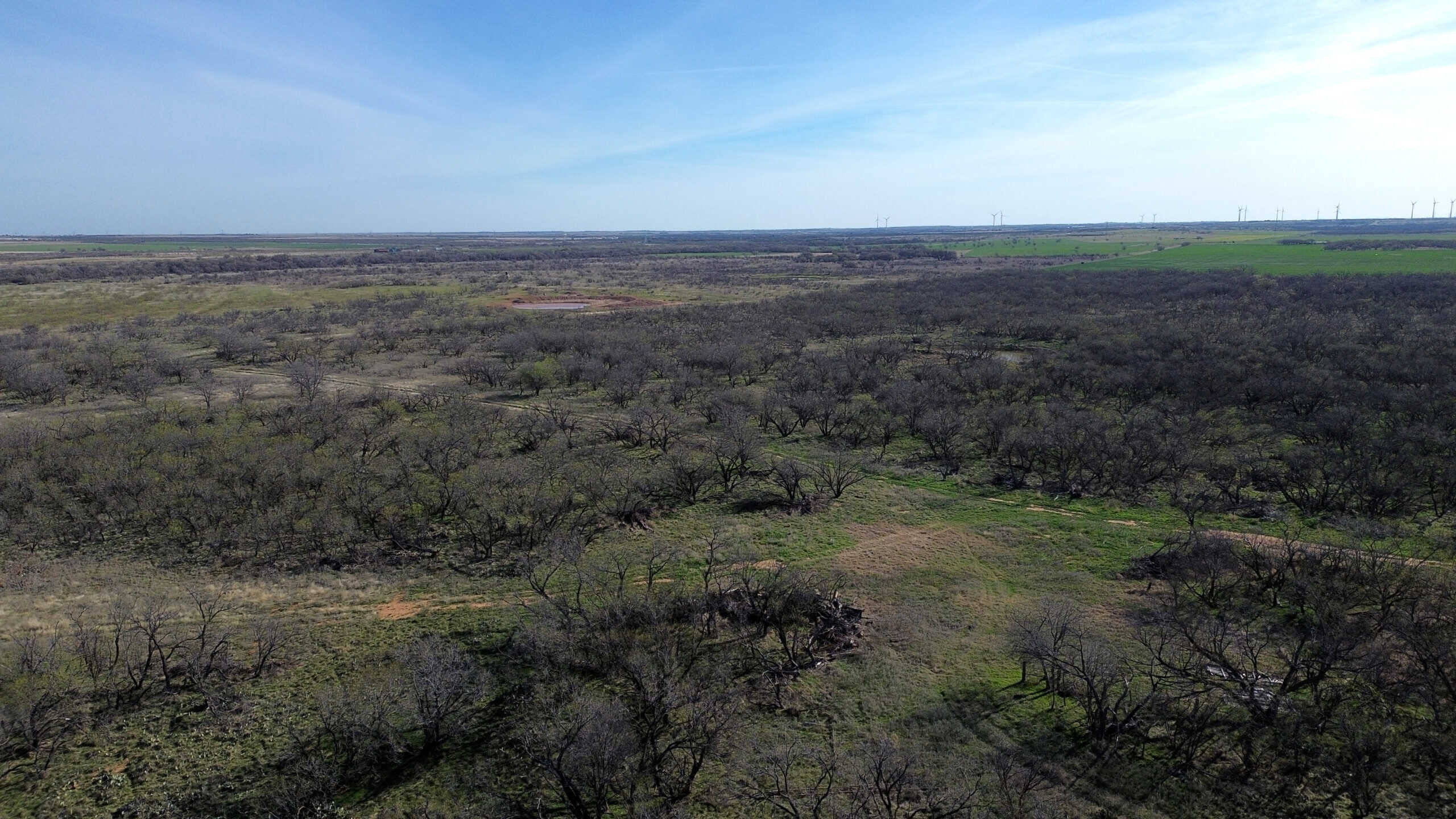 160 AC RANCH FOR SALE – ARCHER COUNTY TX