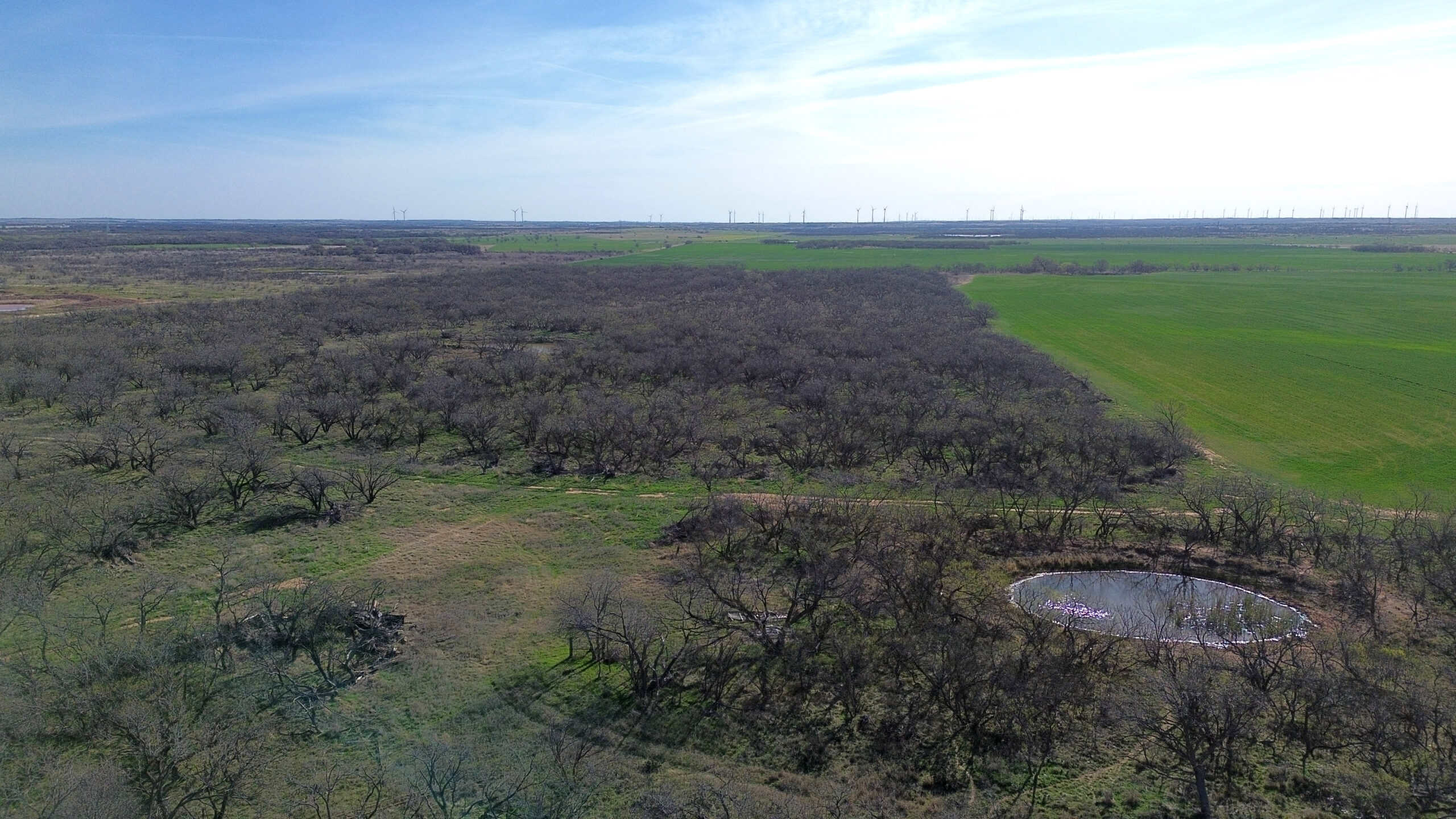 160 AC RANCH FOR SALE – ARCHER COUNTY TX