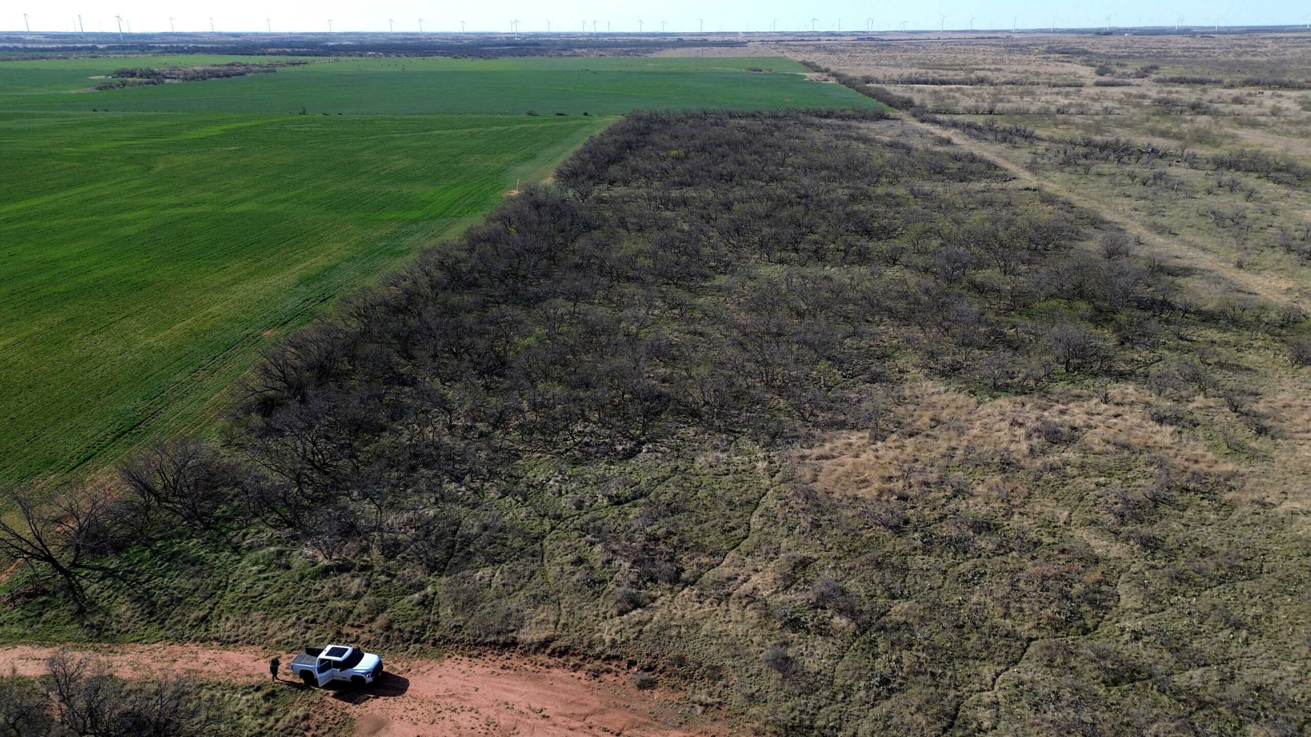 160 AC RANCH FOR SALE – ARCHER COUNTY TX