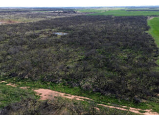 160 AC RANCH FOR SALE – ARCHER COUNTY TX