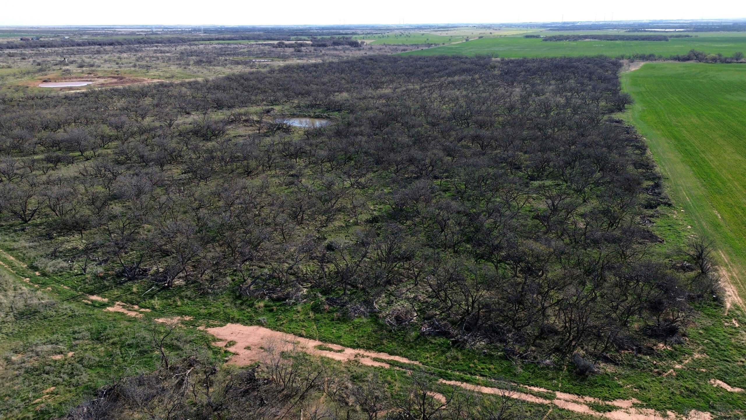 160 AC RANCH FOR SALE – ARCHER COUNTY TX