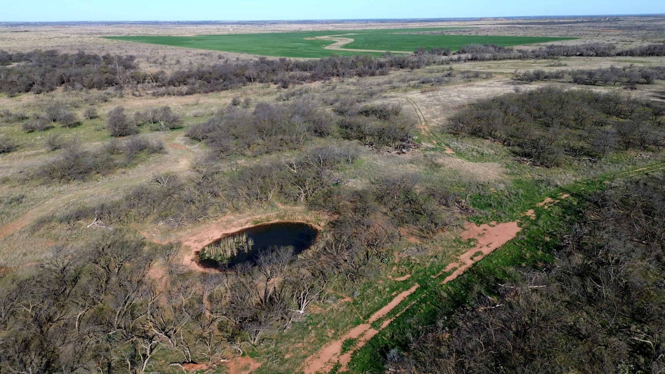 160 AC RANCH FOR SALE – ARCHER COUNTY TX