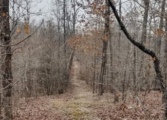 Hunting Paradise with Country Home For SALE in Wright County Mo.