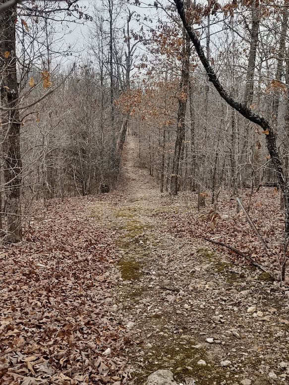 Hunting Paradise with Country Home For SALE in Wright County Mo.