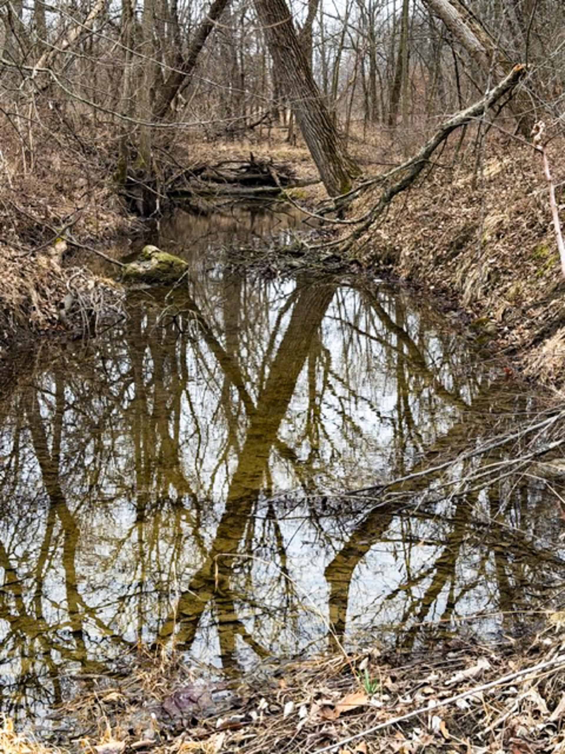 19± Acres of Land for Sale in Daviess County, Missouri
