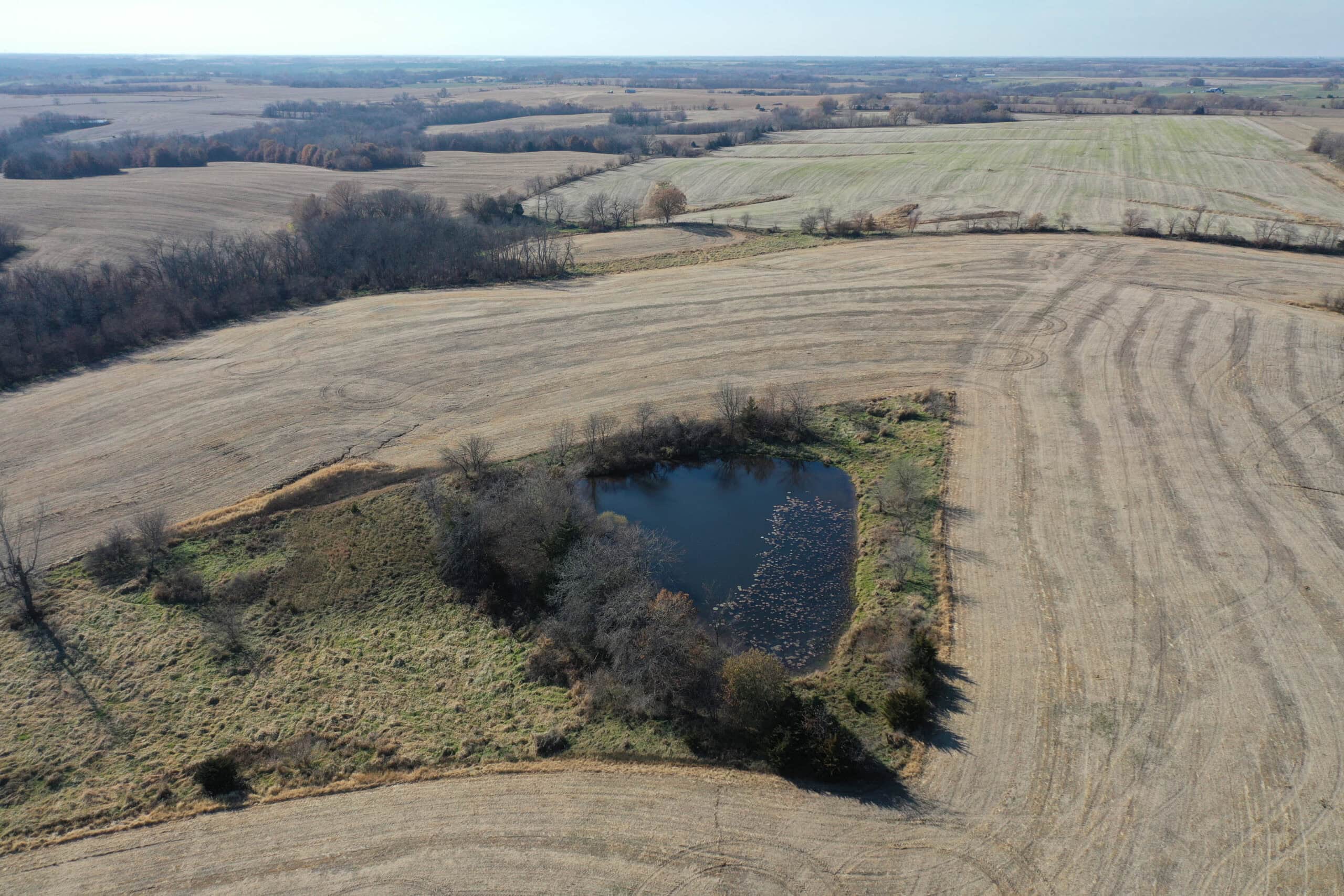Mercer County, Missouri 80 Acres For Sale
