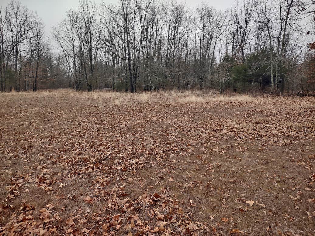 Hunting Paradise with Country Home For SALE in Wright County Mo.