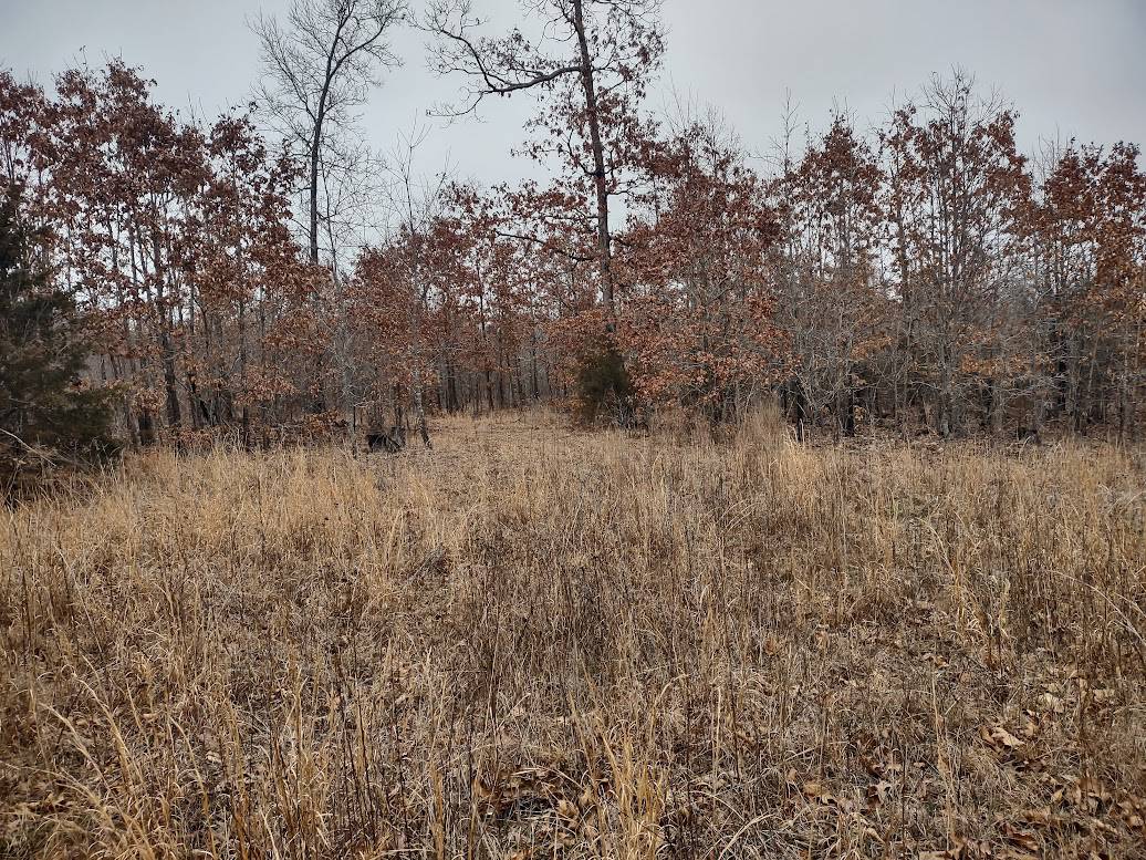 Hunting Paradise with Country Home For SALE in Wright County Mo.