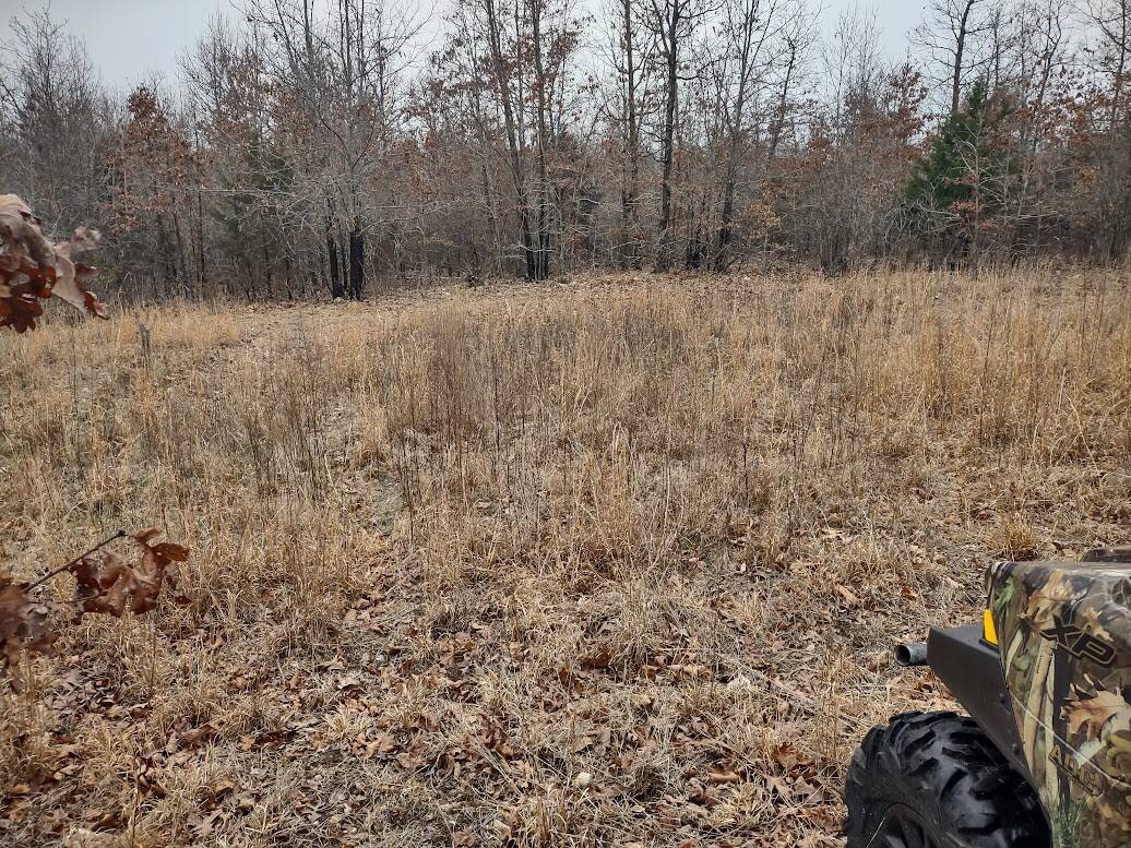 Hunting Paradise with Country Home For SALE in Wright County Mo.
