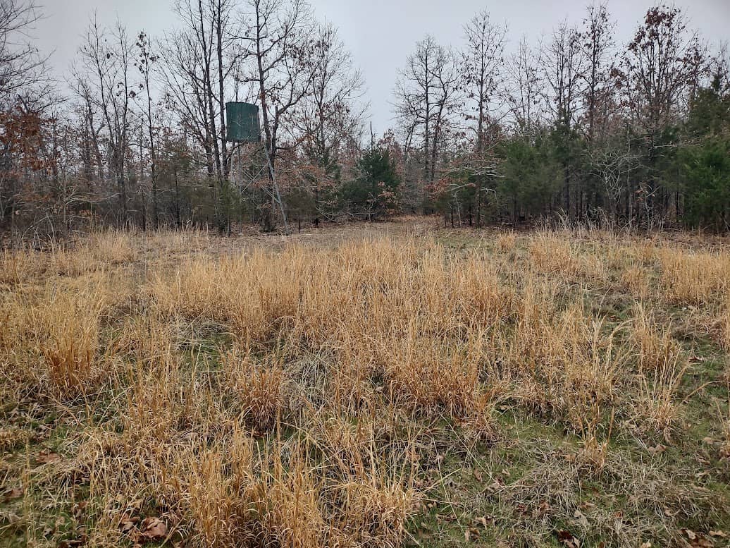 Hunting Paradise with Country Home For SALE in Wright County Mo.